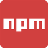 npm install