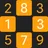 Number Puzzle: Sum Match