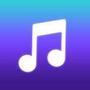Offline Player Music Player