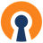 OpenVPN