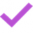 Optimizer