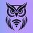 Owl VPN: Fast Simple Proxy