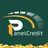 PanelCredit Debt Tracker