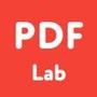 PDF Lab: read view documents