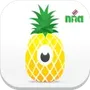 Pineapple Eyes