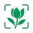 Plant Identification Diagnosis