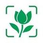 Plant Identification Diagnosis