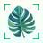 Plant Identifier Plant Snap