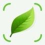 Plant Scanner: Identify Care