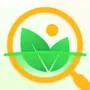 PlantThis - Plant Identifier