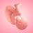 Pregnancy and Due Date Tracker