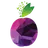 Prune: SIM Cards Travel eSIM