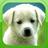 Puppy Wallpapers Cute Puppy Pictures Images