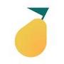 Pyrus Team Communication