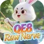 QE8 Raw Nerve