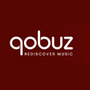Qobuz Downloader