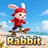 Rabbit gliding on the