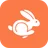 Rabbit VPN