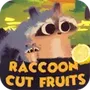 RaccoonCutFruits