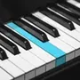 REAL PIANO: Electronic Keyboard
