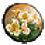 Realtime Landscaping