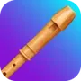 Recorder Lessons - tonestro