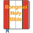 Rongmei Holy Bible