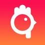 Rooster: Daily Planner