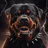 Rottweiler Dog Simulator