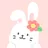 Roubit Pet: Self CareRoutine