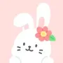 Roubit Pet: Self CareRoutine
