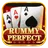 Rummy Perfect