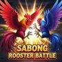 Sabong Rooster Battle