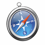 Safari Web Site Validator