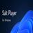 Salt Player for Windows