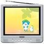 Satellite TV from PC