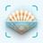 Sea Shell Identifier Guide