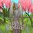 Seasonala Cemetery
