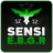 Sensi E.B.G.R - FFH4X TURBO