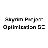 Skyrim Project Optimization SE