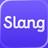 Slang: Professional English