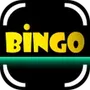 Snap Bingo Caller Verifier