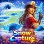 Snow Capture