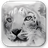 SnowChecker