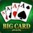 Solitaire Cozy - Big Card
