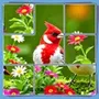 Solitaire Merge: Jigsaw Puzzle