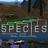 Species: Artificial Life Real Evolution