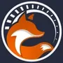 SPEEDFOX - 香港實時交通報告