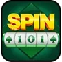 Spin 101