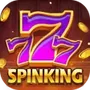 SpinKing AA Games